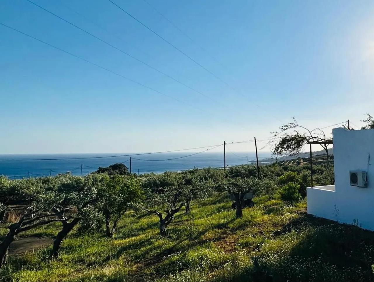 Studios Crete Ferma Exterior photo